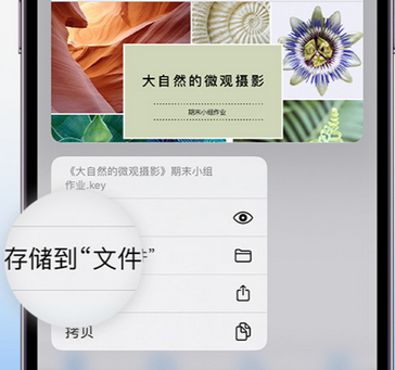 梧州apple维修中心分享iPhone文件应用中存储和找到下载文件