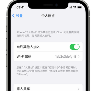 梧州apple服务站点分享iPhone上个人热点丢失了怎么办