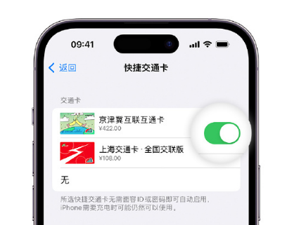 梧州apple维修点分享iPhone上更换Apple Pay快捷交通卡手绘卡面 