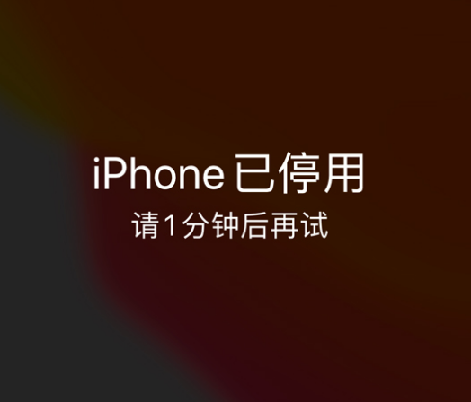 梧州苹果手机维修分享:iPhone 显示“不可用”或“已停用”怎么办？还能保留数据吗？ 