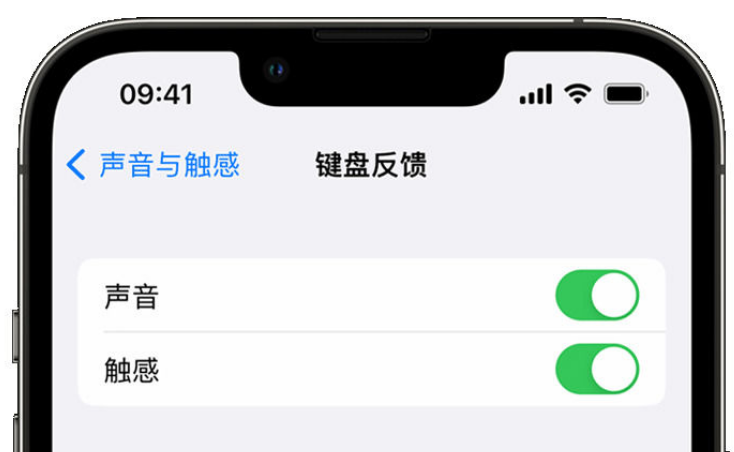 梧州苹果手机维修分享iPhone 14触感键盘使用方法 