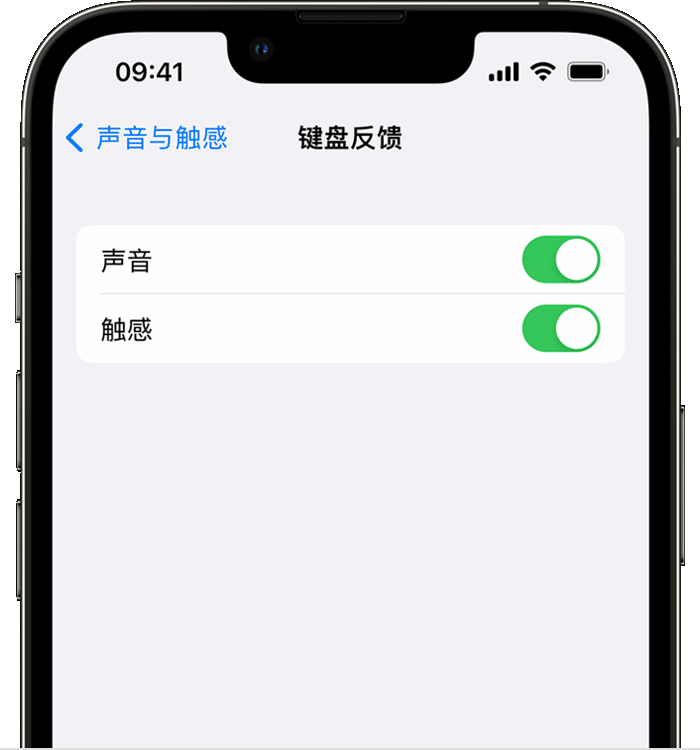 梧州苹果14维修店分享如何在 iPhone 14 机型中使用触感键盘 