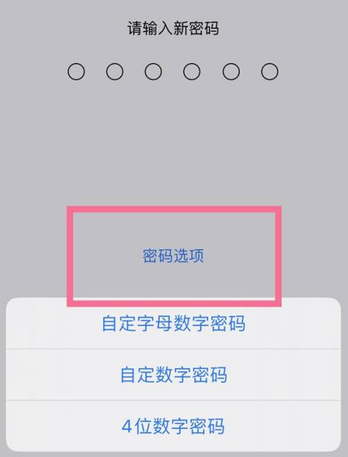 梧州苹果14维修分享iPhone 14plus设置密码的方法 