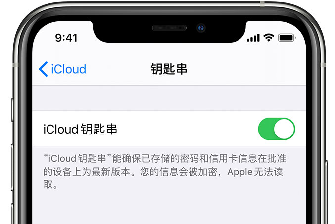 梧州苹果手机维修分享在 iPhone 上开启 iCloud 钥匙串之后会储存哪些信息 