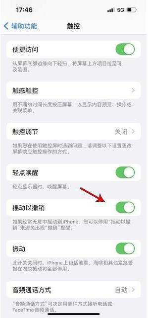 梧州苹果手机维修分享iPhone手机如何设置摇一摇删除文字 