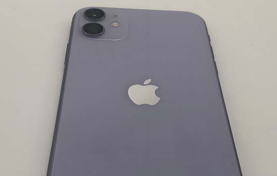 梧州苹果11系统维修分享iPhone11手机系统崩溃无法开机如何解决 